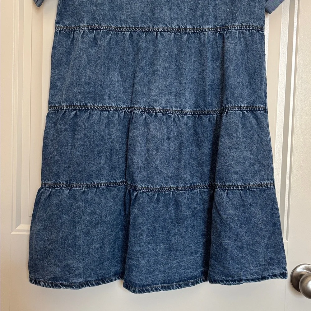Denim Button-Front Dress - Picture 5 of 5